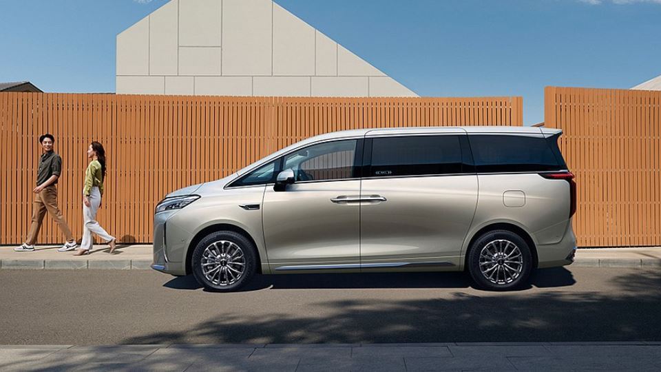 معرفی وی آلپین